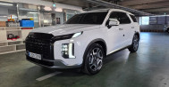 더 뉴팰리세이드 2.2 디젤 2WD 7인승 르블랑 125하3398 팰리세이드장기렌터카, 법인렌터카, 팰리세이드장기렌트